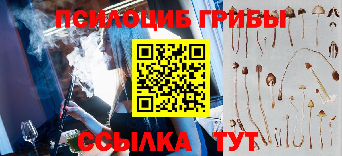 Галлюциногенные грибы Psilocybine cubensis Верхняя Салда