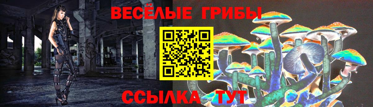 Верхняя Салда  Псилоцибиновые грибы прущие грибы  наркошоп  Вход с VPN 